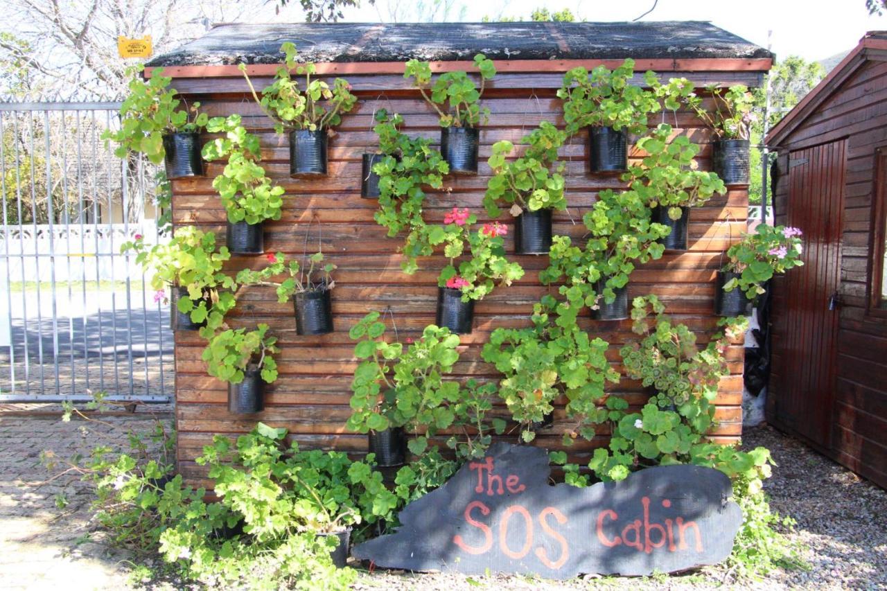 Zoete Inval Hostel Hermanus Exterior foto